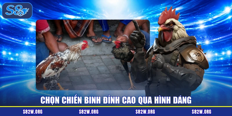 Chọn chiến binh đỉnh cao qua hình dáng